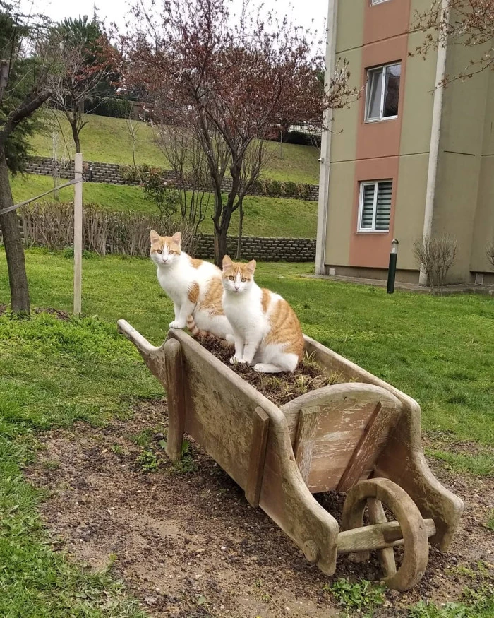 Objektife yansıyanlar