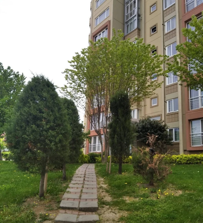Objektife yansıyanlar