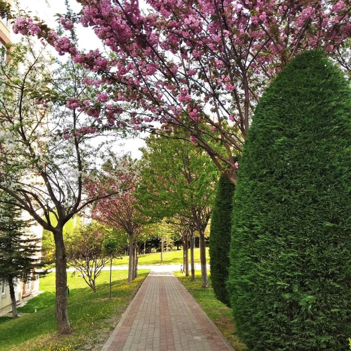 Her köşesi ayrı güzel