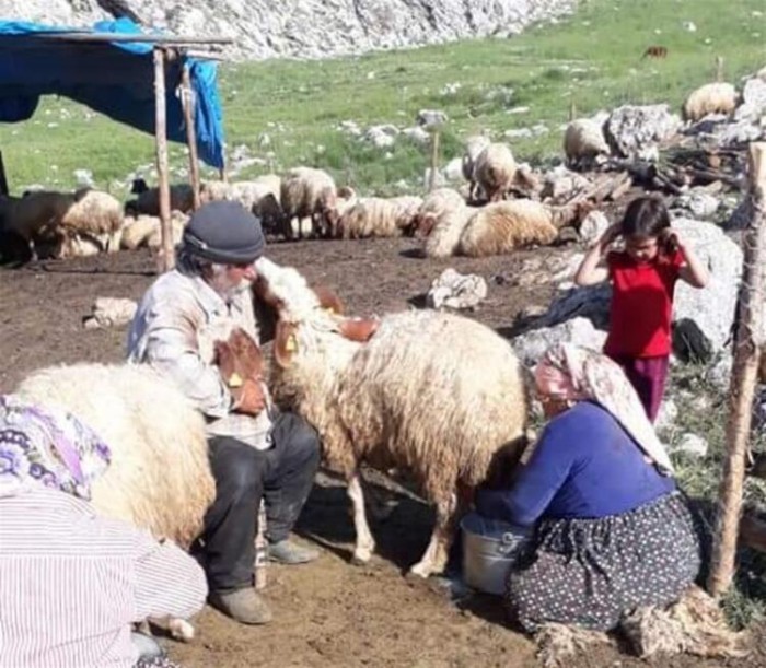 Otlu peynirin lezzet yolculuğu