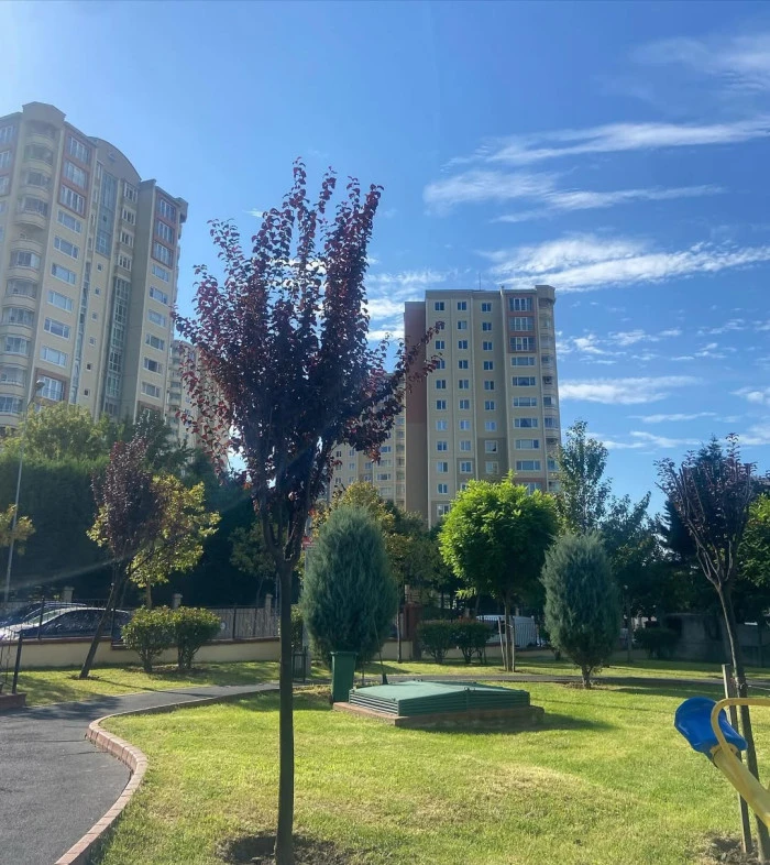Sizden Gelenler