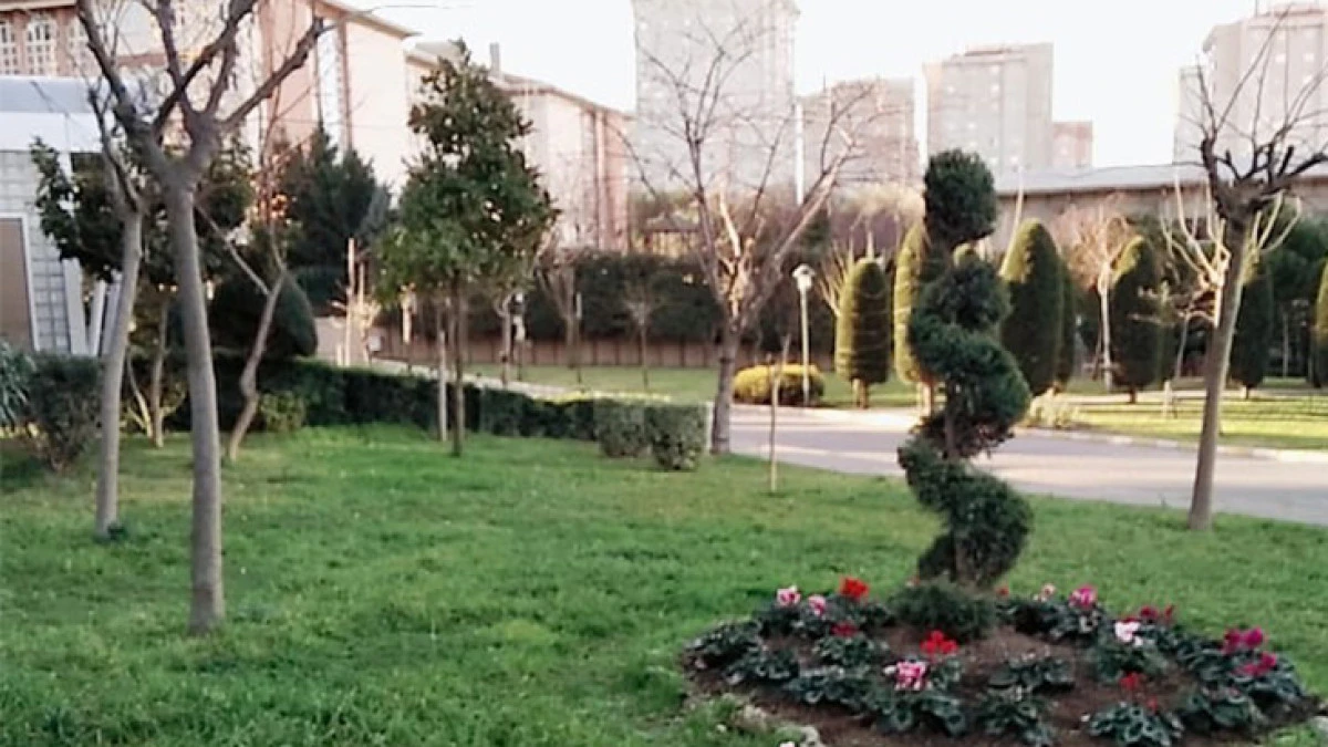 Hatalı parka yaptırım kararı