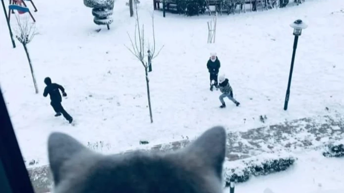 Kar Güneşpark'ta güzel!