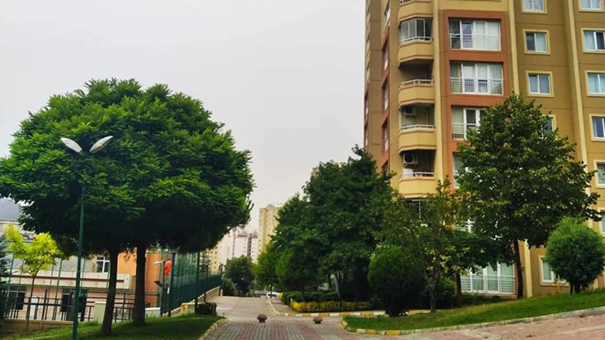 Otoparklardaki fanlara bakım yapıldı